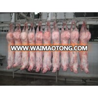 Halal Whole Frozen Lamb Carcass / Meat